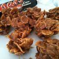 ROSES DES SABLES AUX MARS