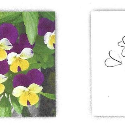  Il giardino di Lorna Bateman – ultima  puntata (19a e 20a)