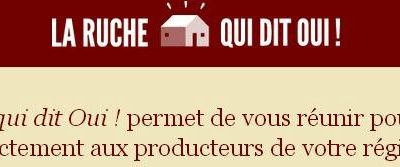 J'ai testé pour vous La Ruche qui dit Oui