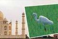 Rajasthan tour-Explorez incroyables Rajasthan