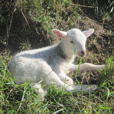Bientôt, la rentrée. COOL !