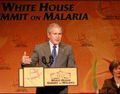 Afrique: Un Sommet sur le paludisme se tient à la Maison-Blanche
