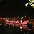 Des ronds dans l'eau