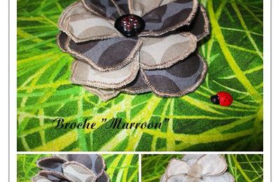 broche et barrette