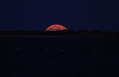 Le lever de la lune sur l'étang de Thau à Marseillan le 15 août 2019