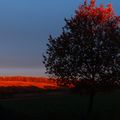 Coucher de soleil dans le Gers