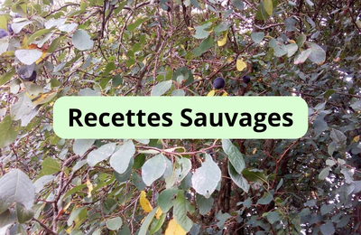 Les Recettes Sauvages... (Index)