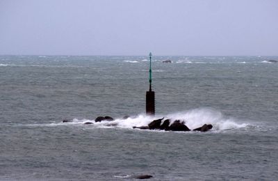 Autour de l'Île-Grande à Pleumeur-Bodou (Côtes d'Armor) le 1er janvier 2025 (1)