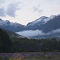 queenstown-Milford (le sud)