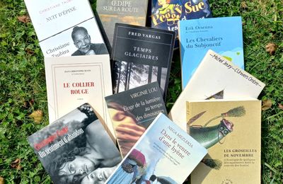 Acquisitions de rentrée de Mr K