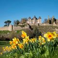 La château cerné par la fine fleur des gilets jaunes