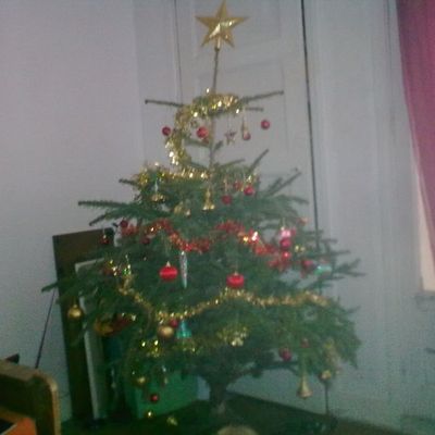 Je vous souhaite un JOYEUX NOEL