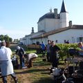Vendanges au Chateau Caillou a Barsac (33) - Sauternes