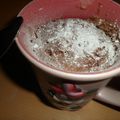 Mug Cake au Nutella