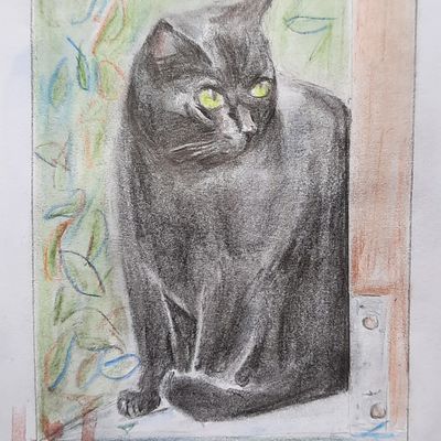 Le chat noir,assis au bout de la palissade