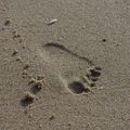 Baby walk on the beach&hellip;