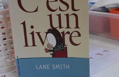 Ode à la lecture - C'est un livre - Lane Smith