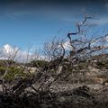 LASCIA CAMPA A NATURA...