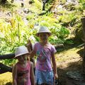 Vacances à Samoëns : Balade au jardin de la Jaïsina