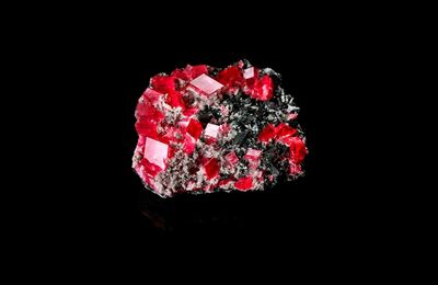 Natural history auction in Denver features world class collection of lapidary arts