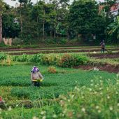 Les Brésiliens en lutte contre le Mercosur
