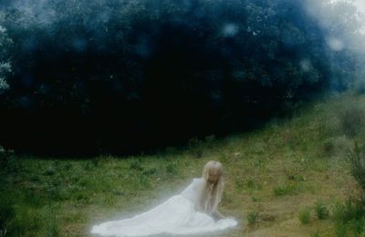WISP – If Not Winter (2025)