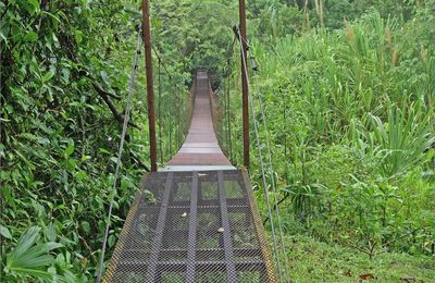 Like a bridge ....