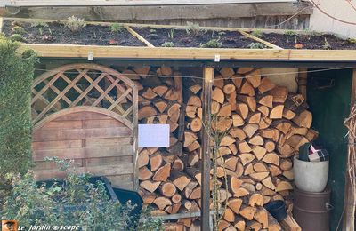 Végétalisation extensive du toit du bûcher au fond du jardin