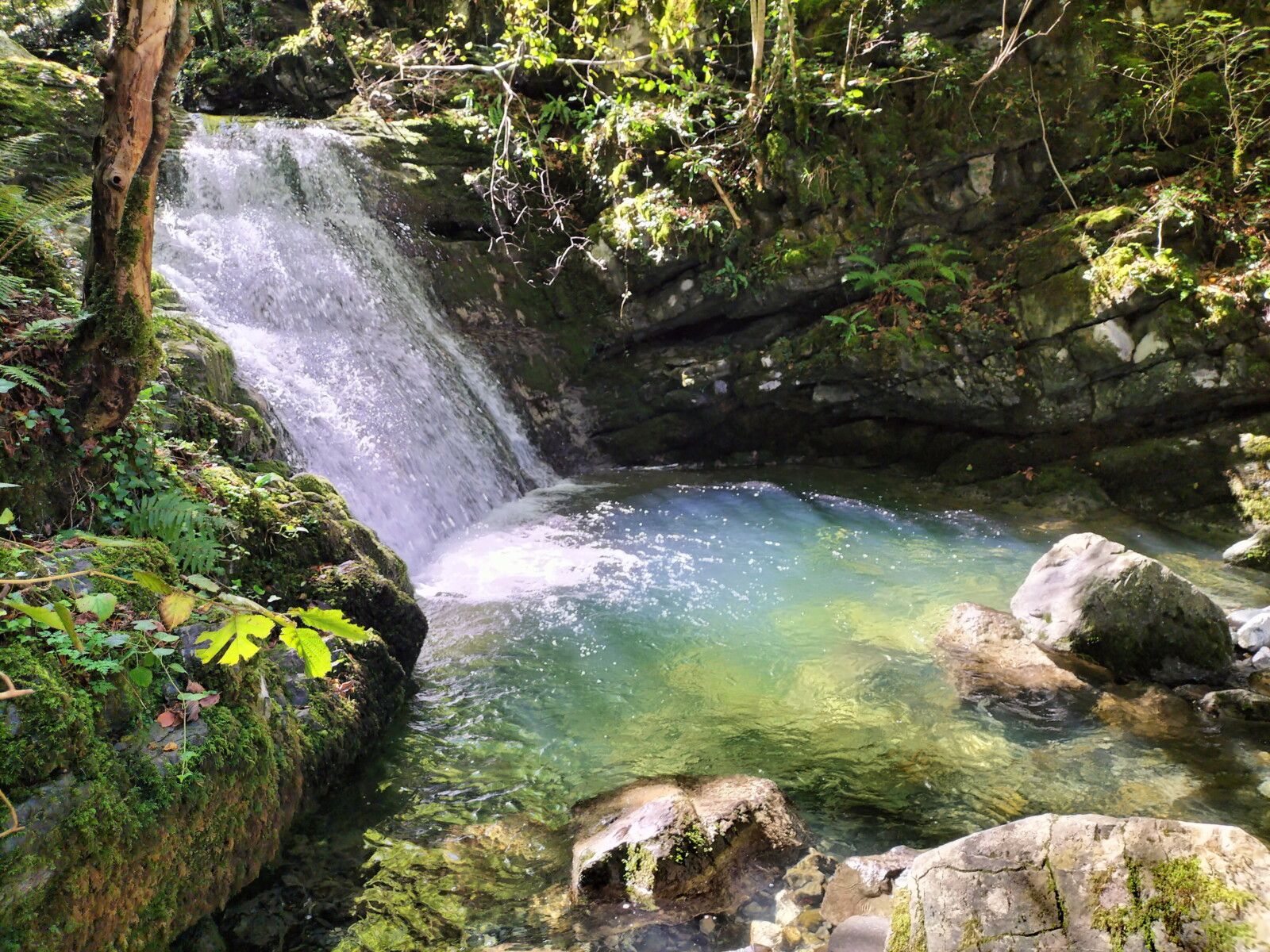 Sources de la Bidouze, sentier, cascade et vasque, de profil (64)