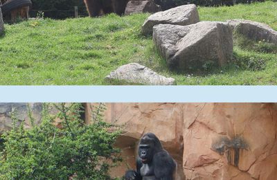 Au zoo d'Amnéville en Moselle