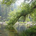 ET AU MILIEU COULE UNE RIVIERE