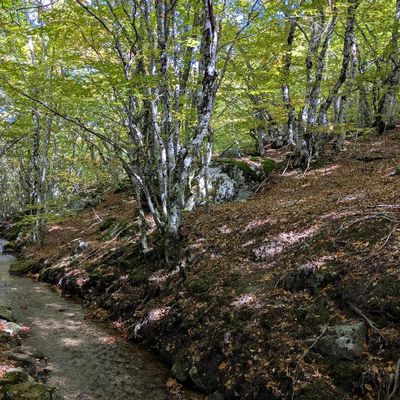 Balade d'automne