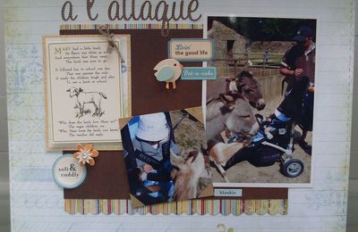 concours scrapampilles