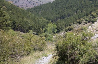 Massif du Moncayo - Purujosa (6)