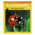 En savoir plus sur les coccinelles