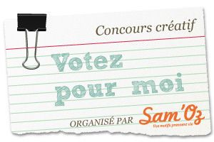 Votez pour moi!!!