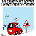 Les saoudiennes bravent l'interdiction de conduire - Dilem - 29 octobre 2013