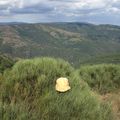 mon chapeau folio dans les Cévennes