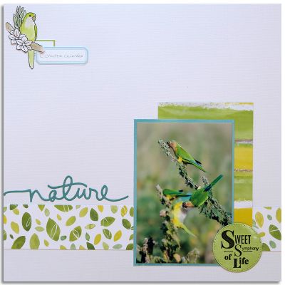 une page et des consignes