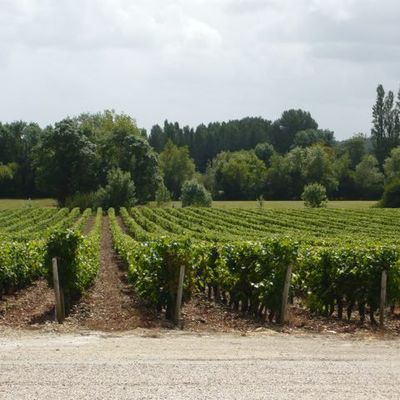 13 août - Visite des châteaux