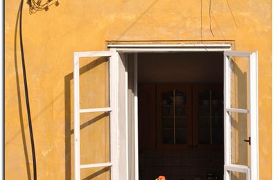 Quand le soleil entre dans ma maison