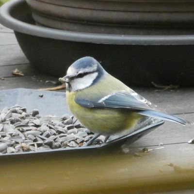 Photos du Dimanche !