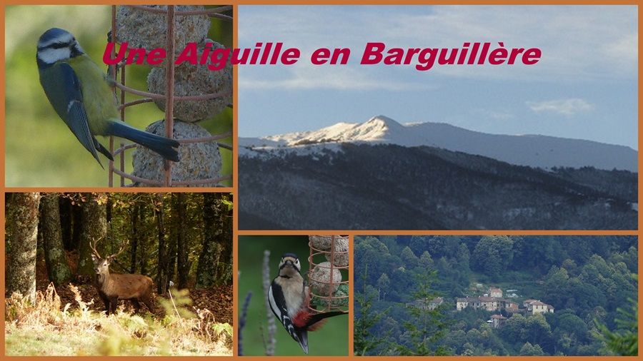 Une Aiguille en Barguillère