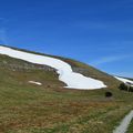 [Drôme] quand le printemps arrive sur l'alpage de Font d'Urle... 