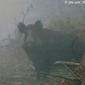 Accident de chasse à Saint-Agnan : viandard du lundi va à l'hosto de Château-Thierry 