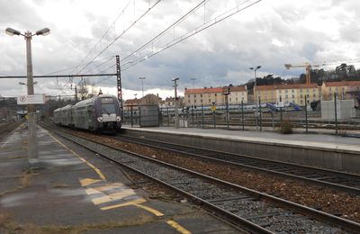 Grand Lyon : le SERM doit être défini avant un an, le chantier est colossal