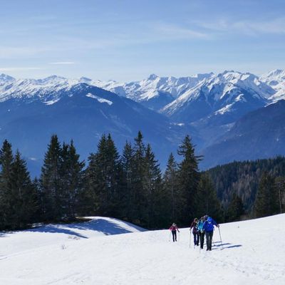 Janvier février mars 2026