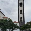 SANTA CRUZ - LA LAGUNA (TENERIFE)