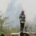 Massif forestier sous surveillance