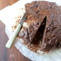 Gâteau au chocolat et à la betterave sucrière
